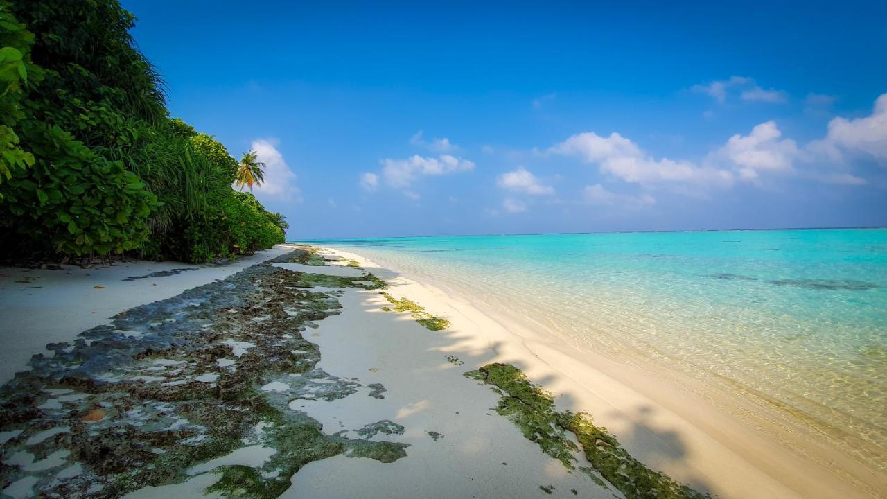 New Breeze Thoddoo Inn Ngoại thất bức ảnh