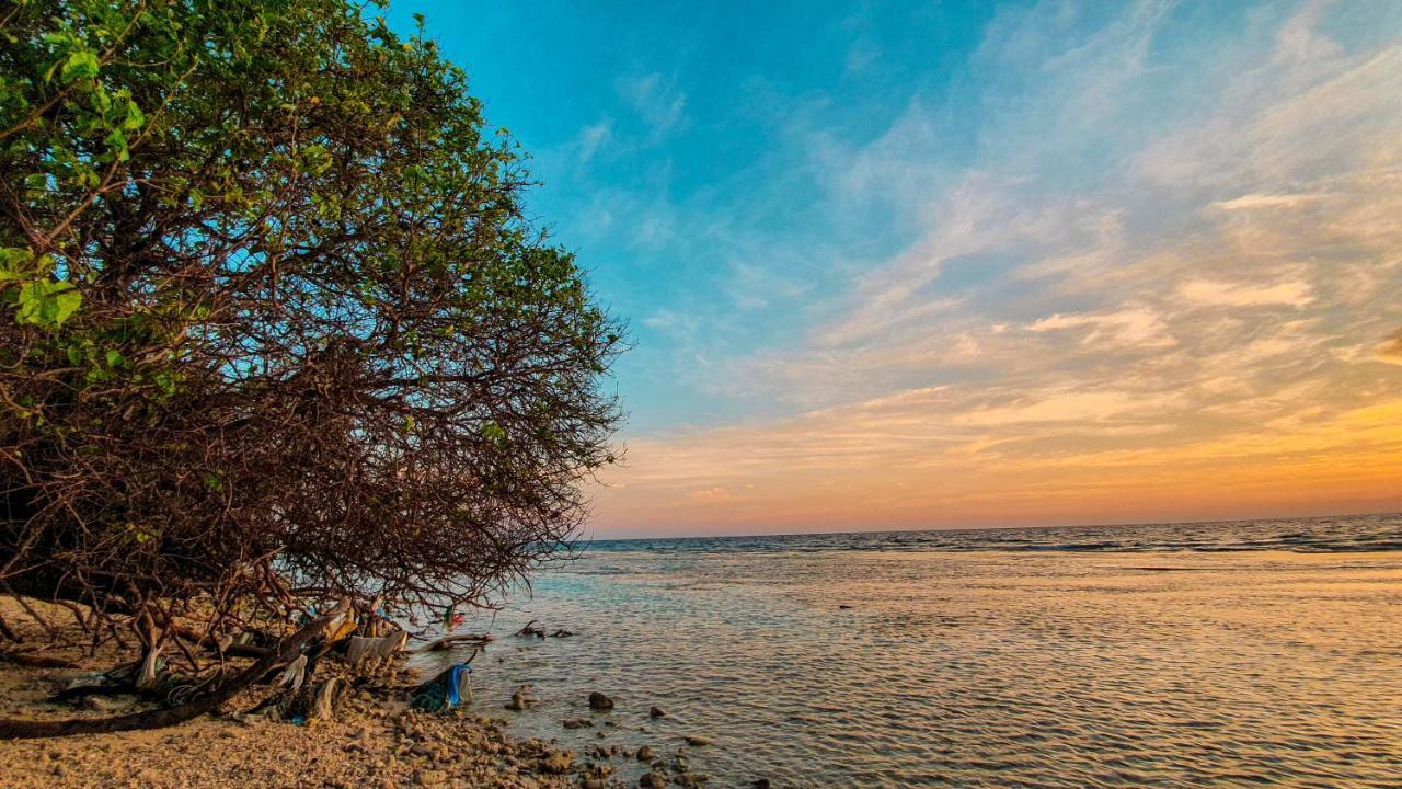 New Breeze Thoddoo Inn Ngoại thất bức ảnh