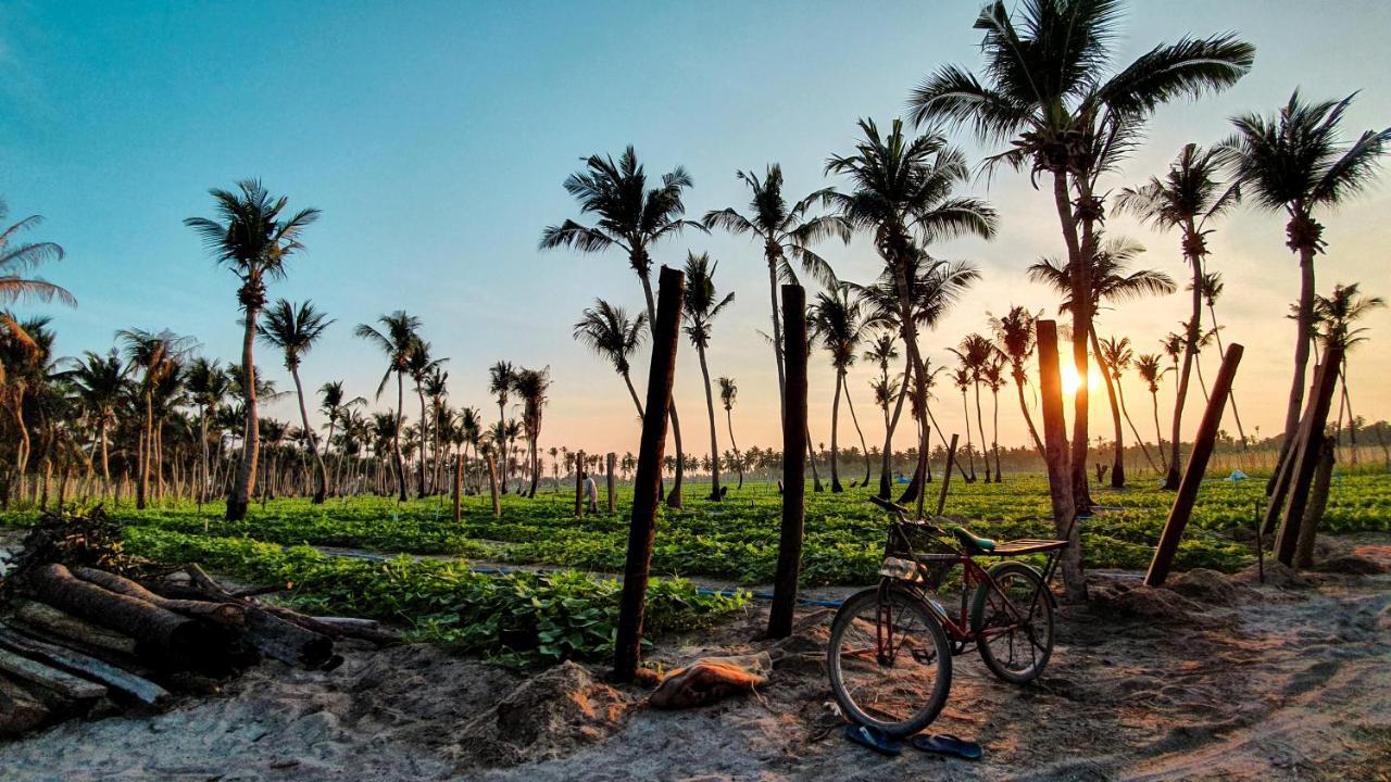 New Breeze Thoddoo Inn Ngoại thất bức ảnh