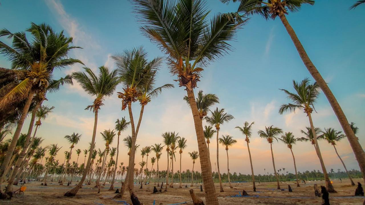 New Breeze Thoddoo Inn Ngoại thất bức ảnh